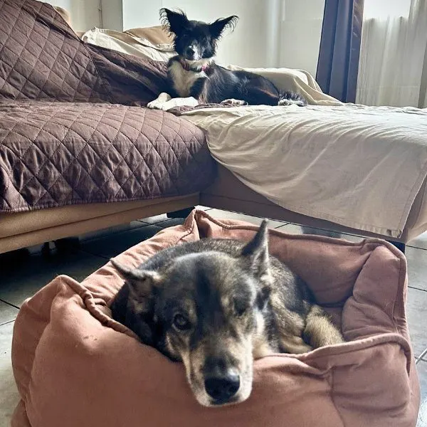 Thunder y Kali, huésped de Llana
